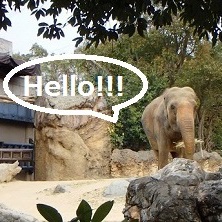 School trip to Tennoji Zoo!!
