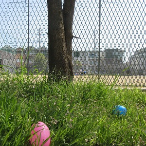 Egg Hunt!