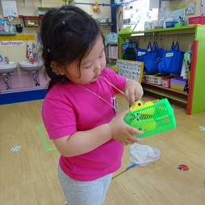 Insect Hunting!!