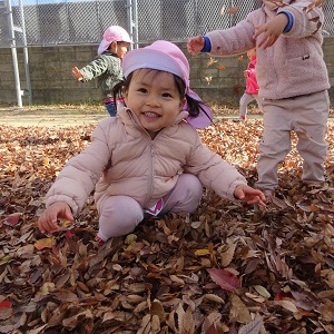 Autumn leaves